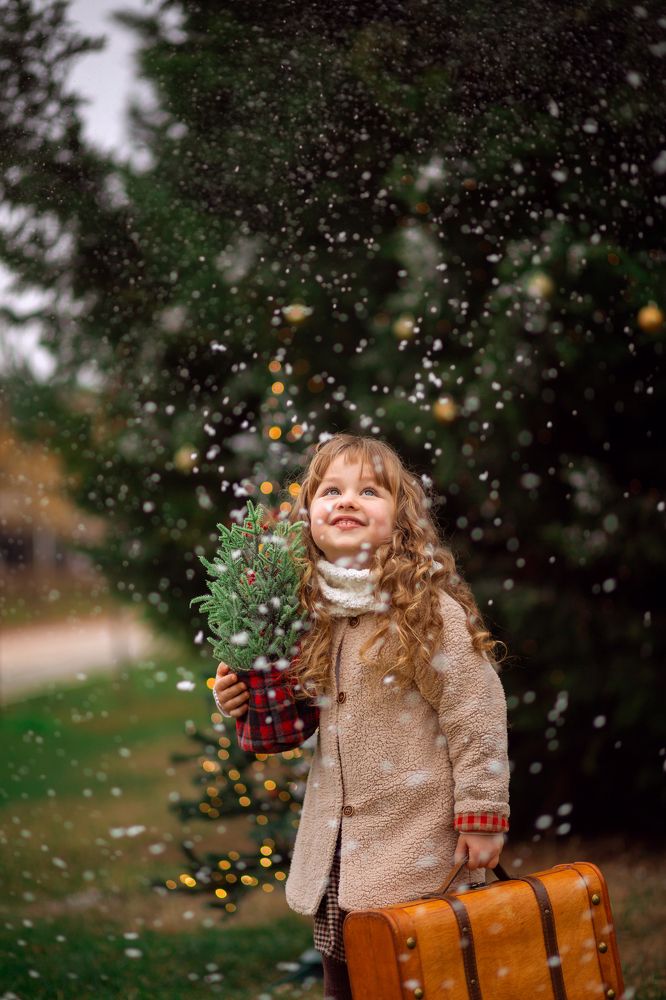 Фотография автора Евгений Ихонкин
