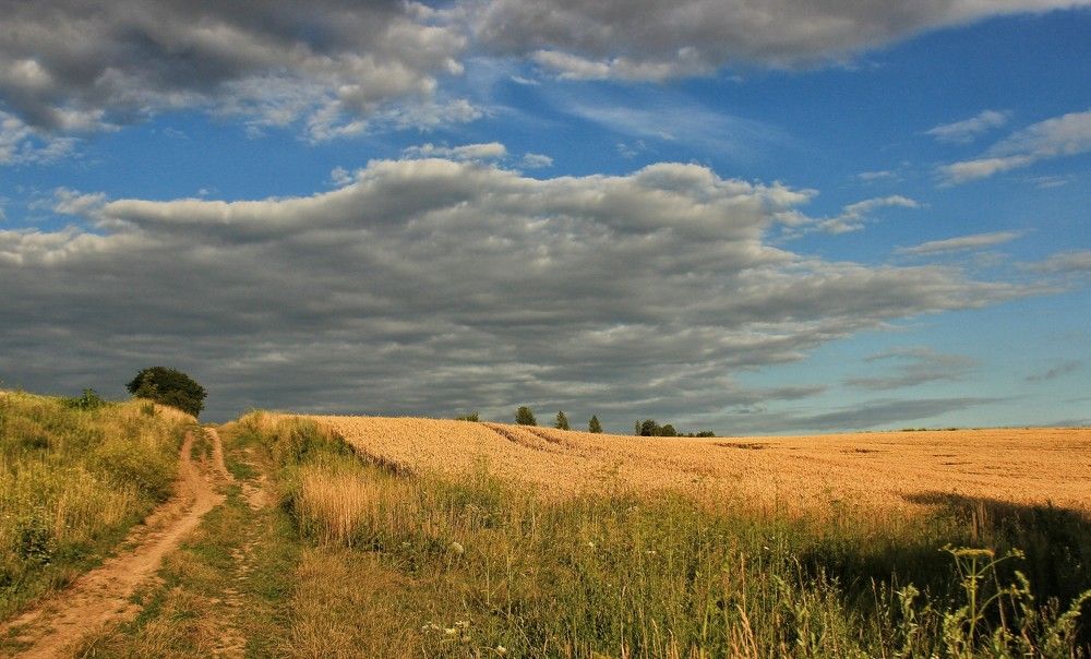 Photograph by Sergey Velichko