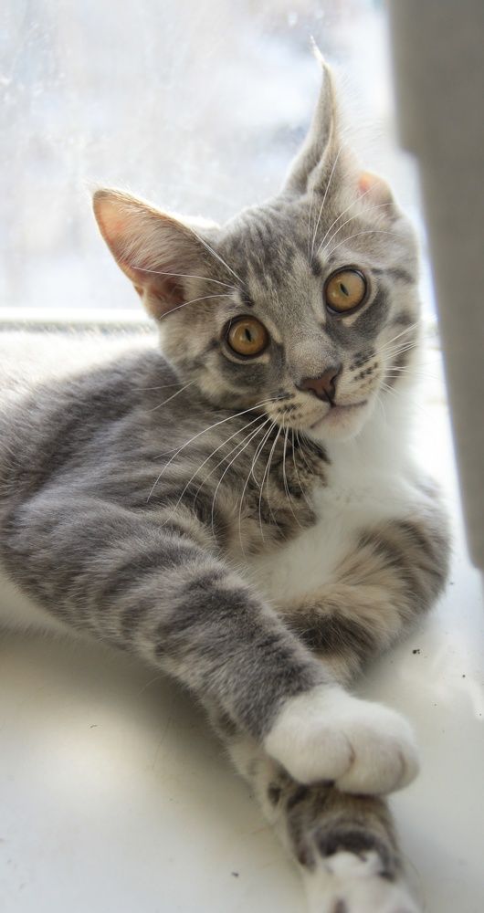 Photograph by Анна Березина