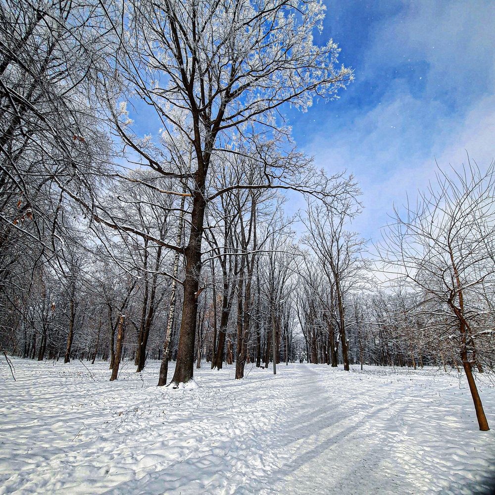 Photograph by Ярослава Турченко