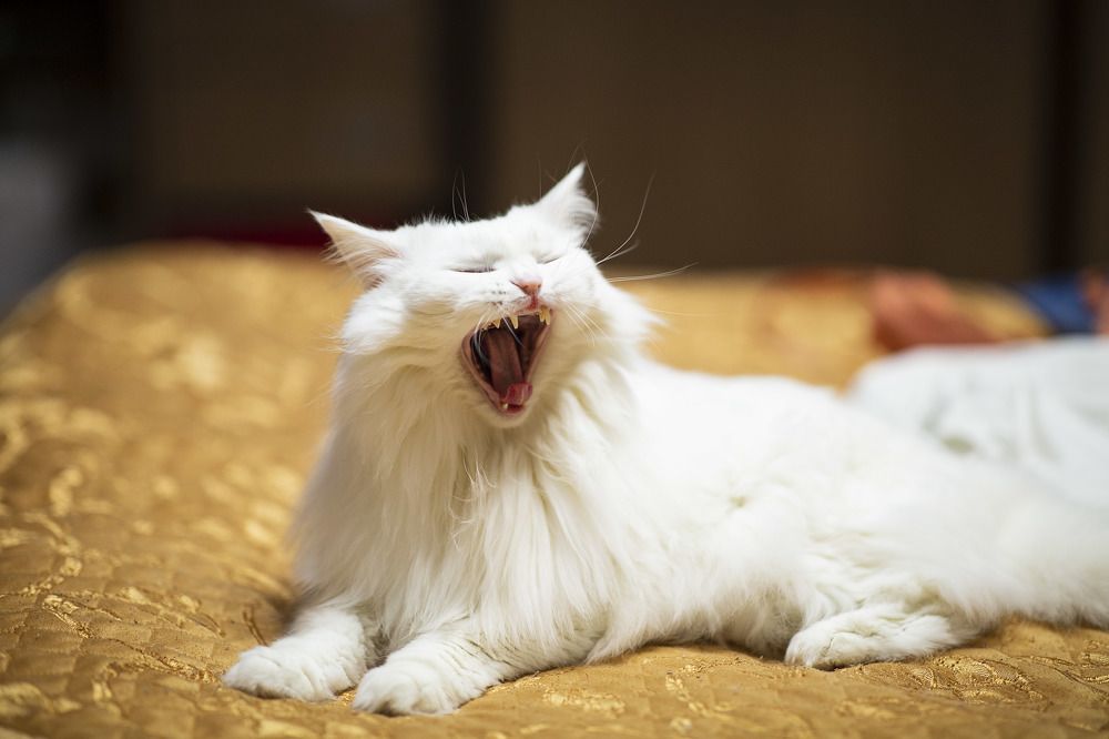 Photograph by Наталья Александровна