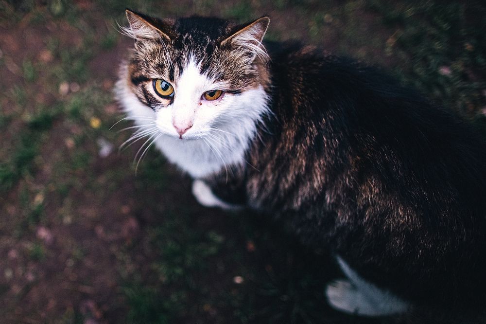 Photograph by Елена Копылова