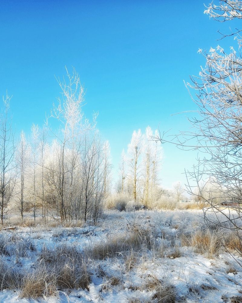 Photograph by Svetlana Yurasova