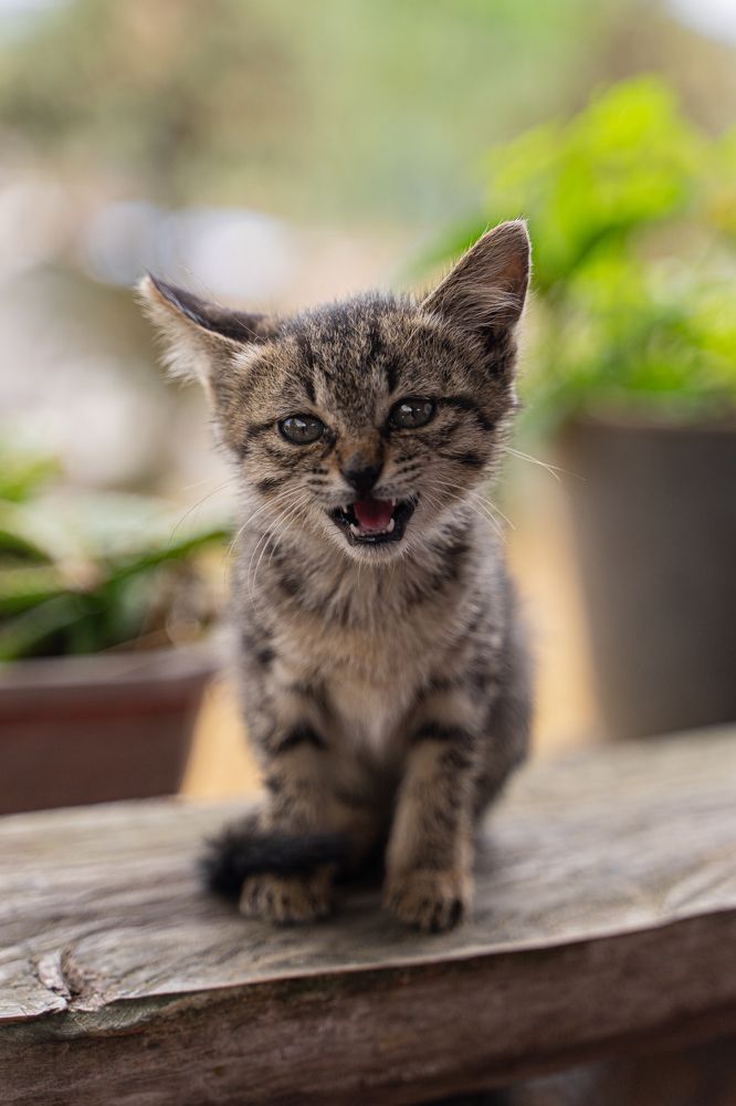 Photograph by BÙI NGỌC