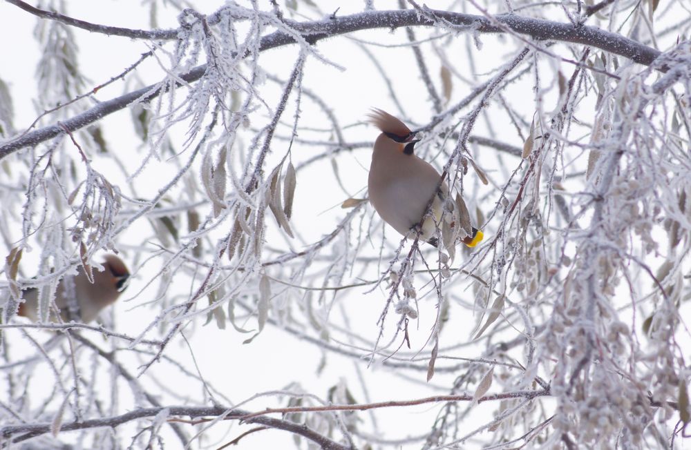Photograph by Сергей Хранитель