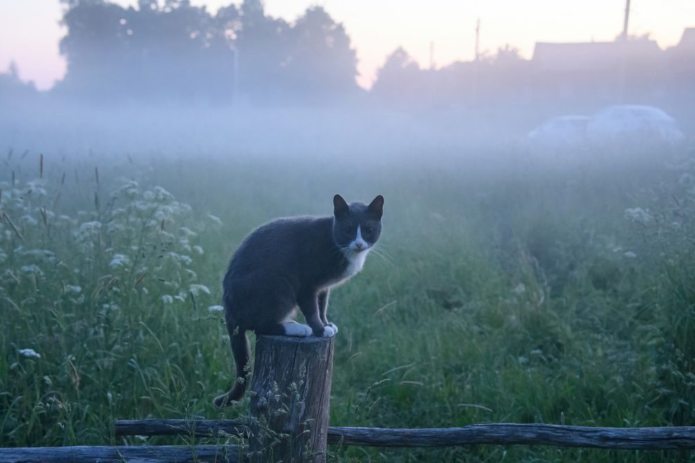 Photograph by Денис Романов