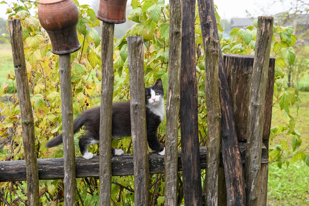 Photograph by Денис Романов