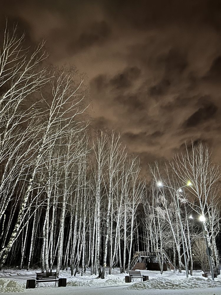 Photograph by Anna Gapanovich