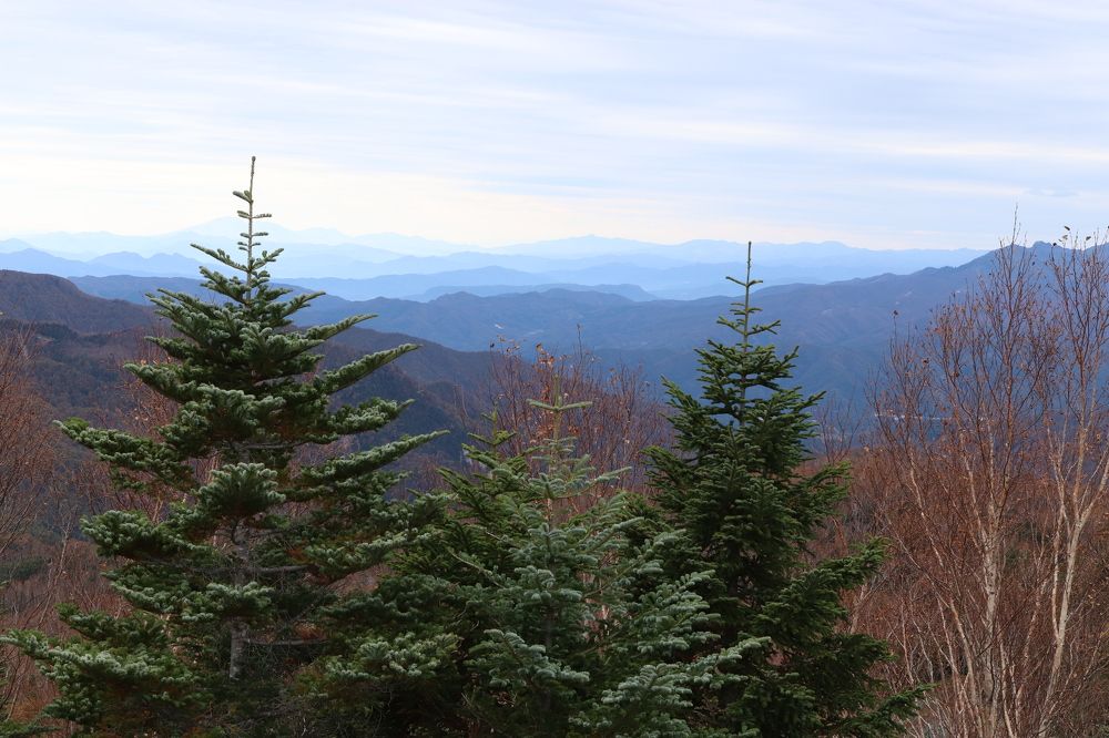 Photograph by Se Lena