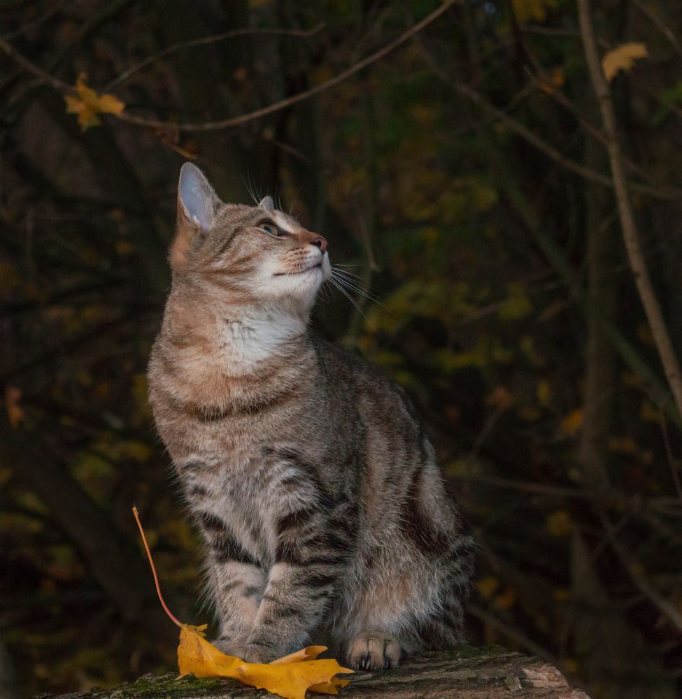 Photograph by Кондрашова Светлана