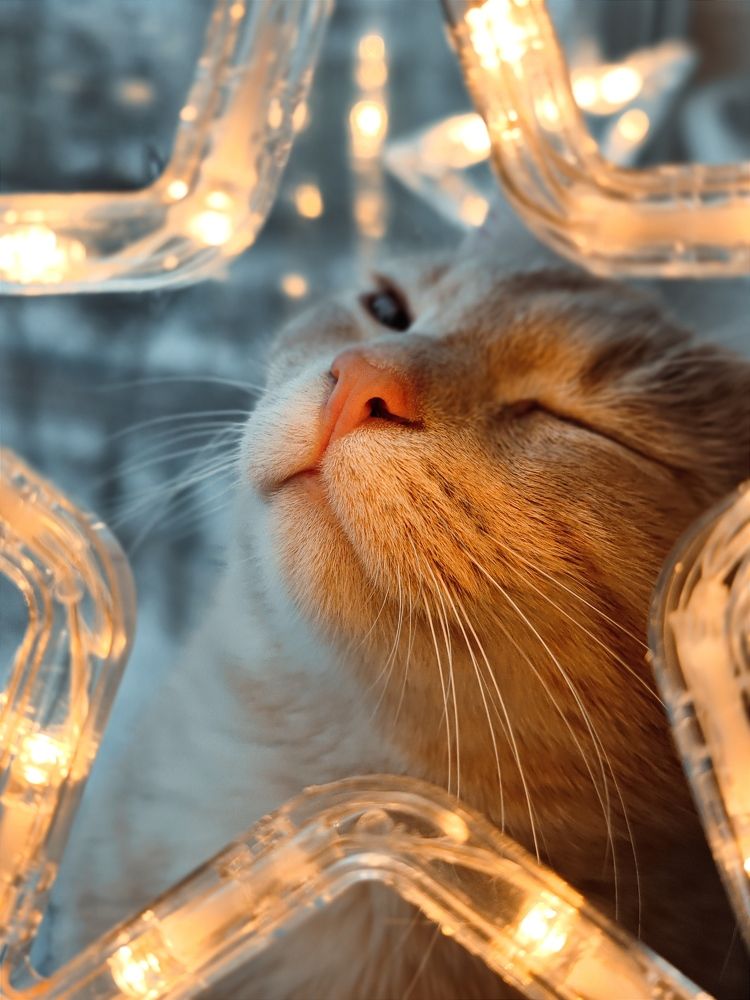 Photograph by Екатерина Харитонова