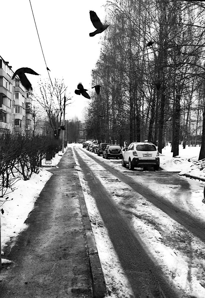 Унылый день.