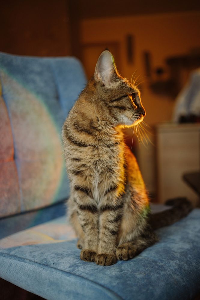 Photograph by Эльвира Грызлова