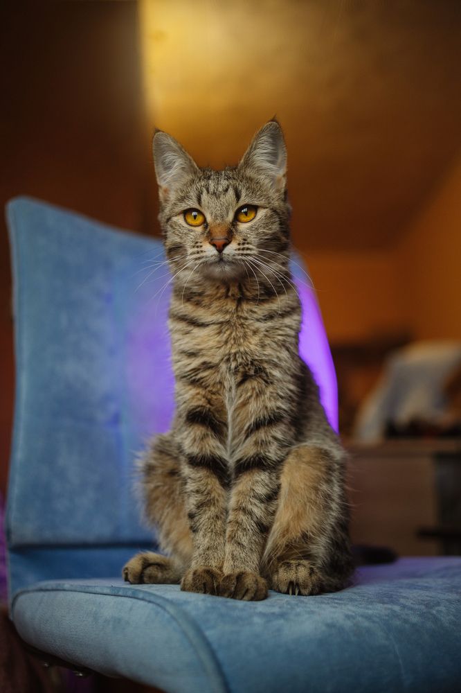 Photograph by Эльвира Грызлова