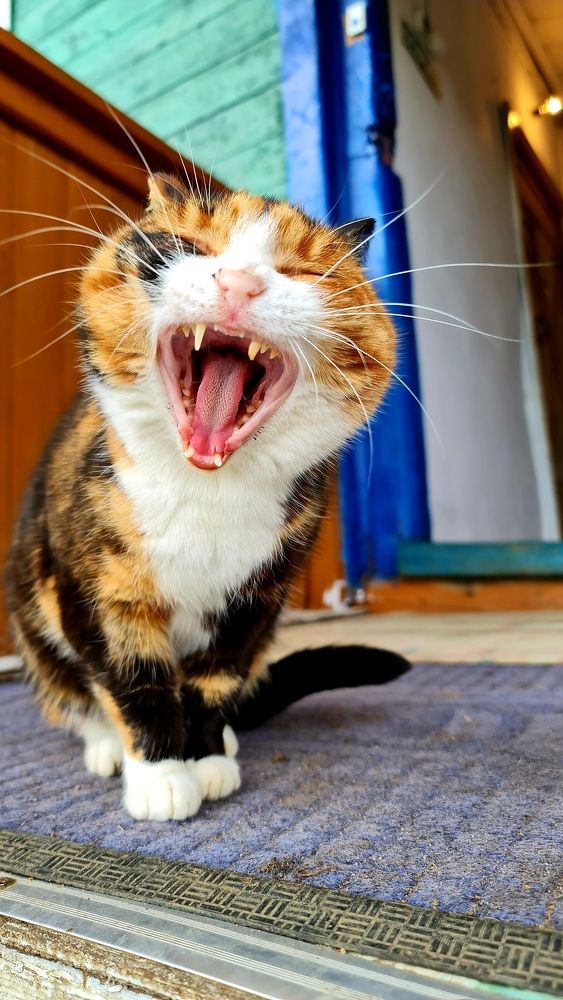 Photograph by Алексей Миронов