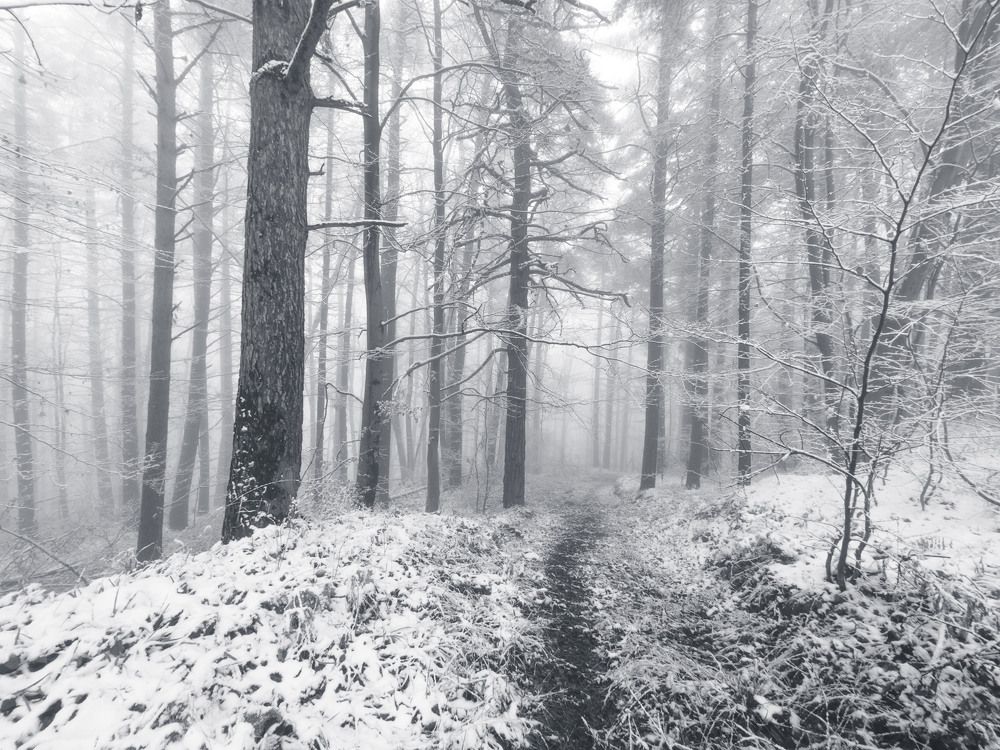 Photograph by Трайко Байко