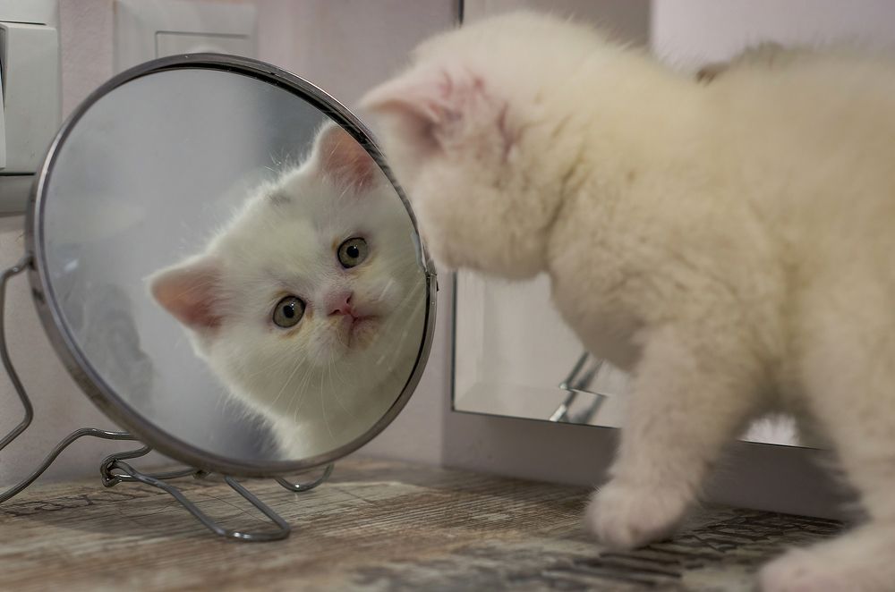 Photograph by Андрей Бурда