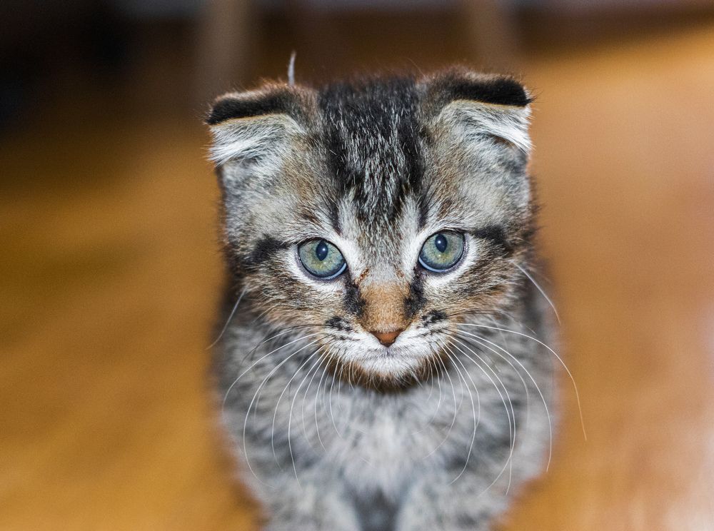 Photograph by Викулов Сергей