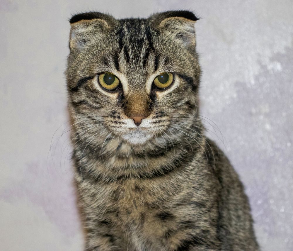 Photograph by Викулов Сергей