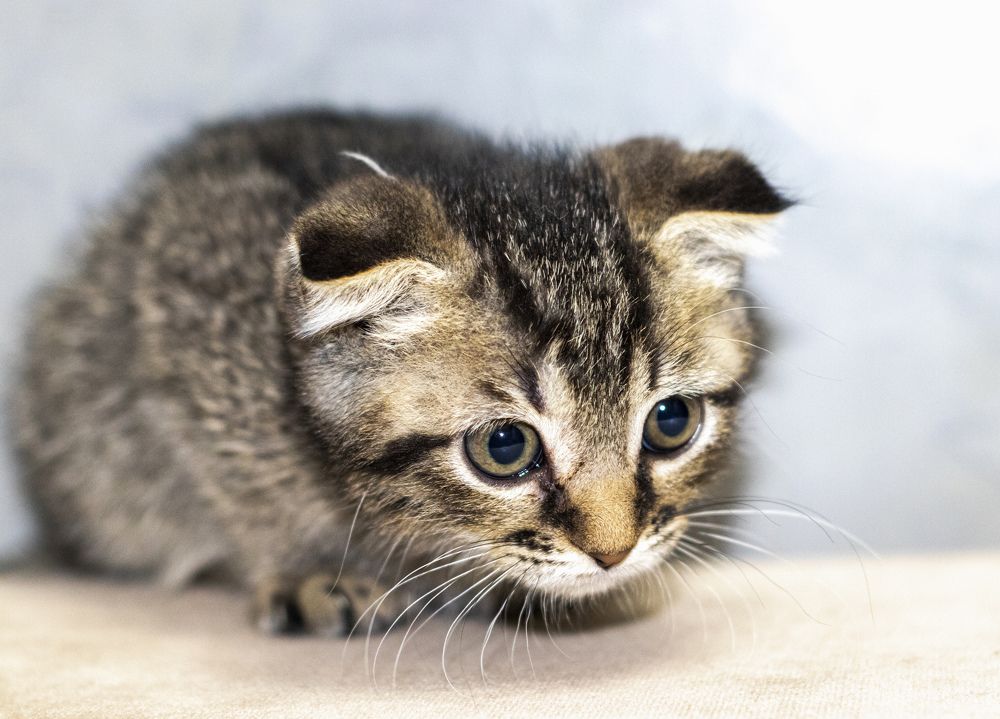 Photograph by Викулов Сергей