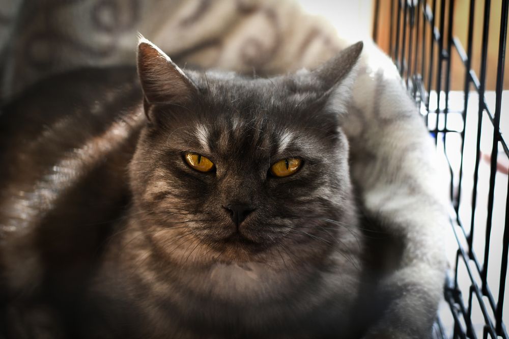 Photograph by Екатерина Свириденко