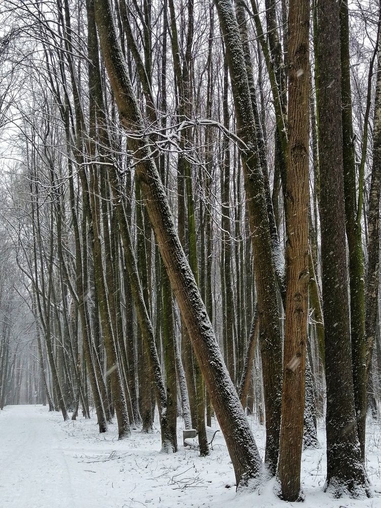 Photograph by Аня Носкова-Данцер