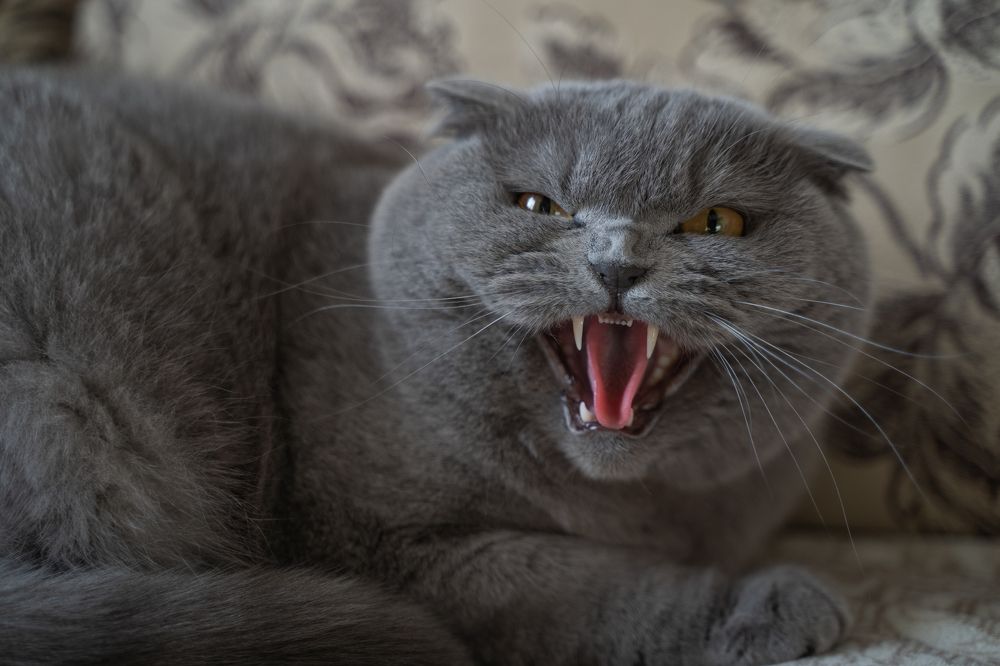 Photograph by Оксана Сальникова