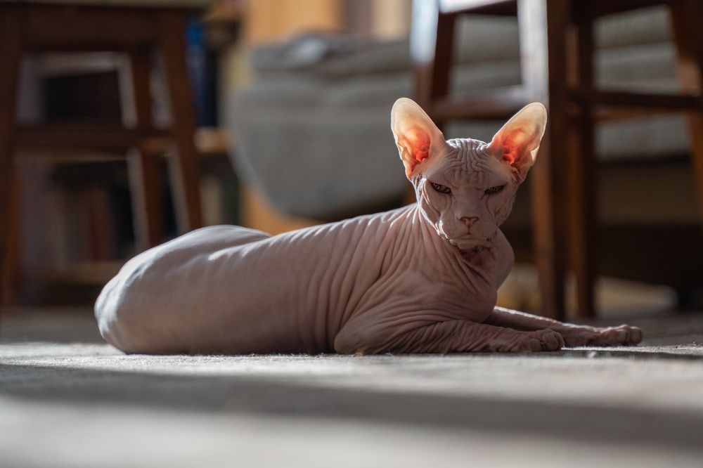 Photograph by Оксана Сальникова