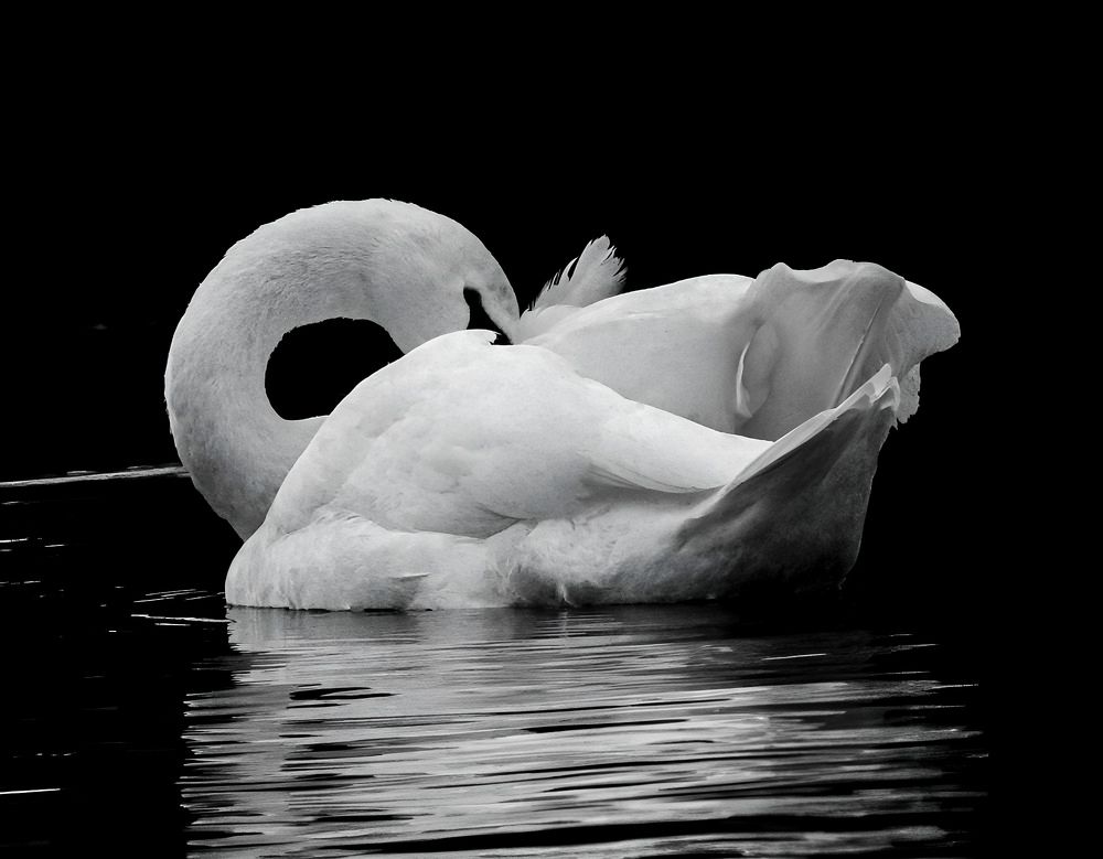 Фотография автора Michael Gault