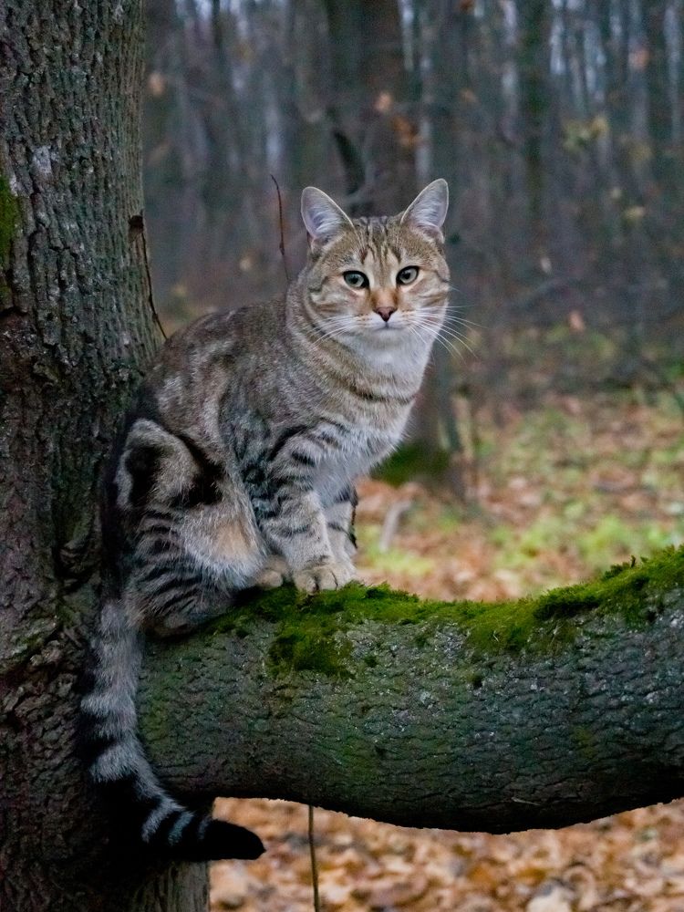 Photograph by Светлана Кондрашова