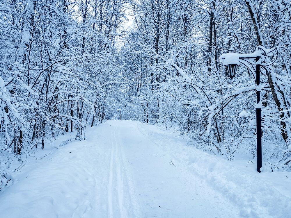 Photograph by Владимир Крылов
