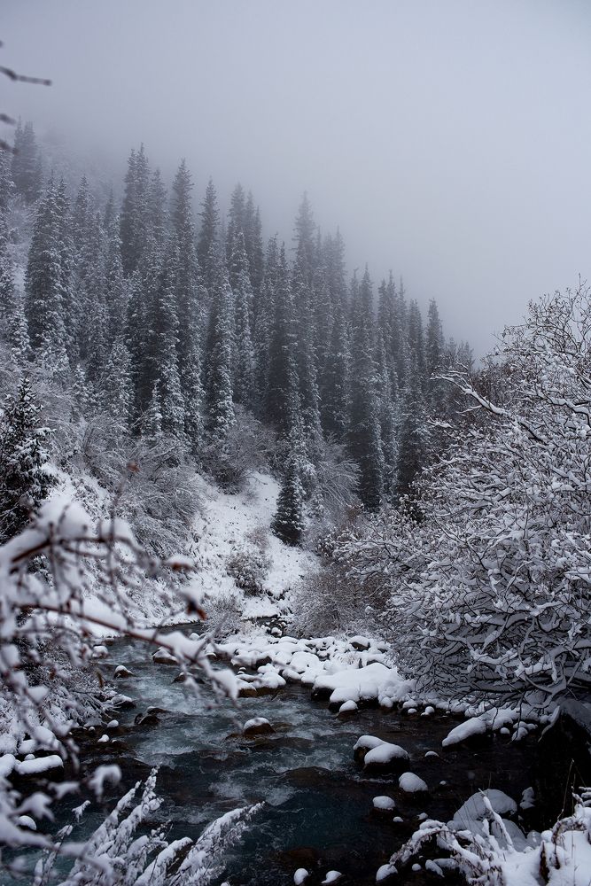 Photograph by Наталья Балеевских