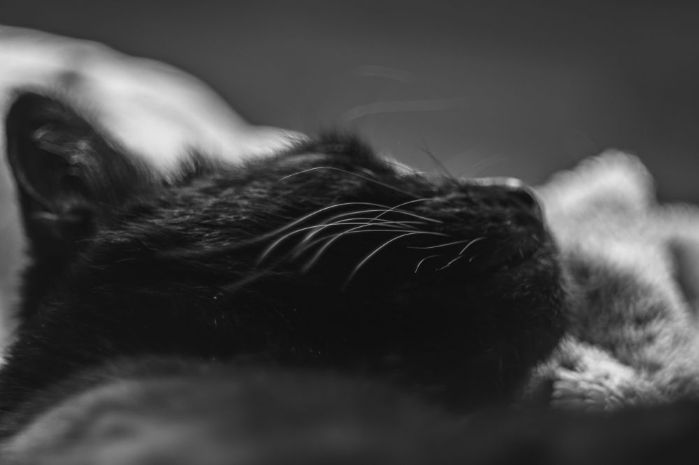 Photograph by Александр Устинов