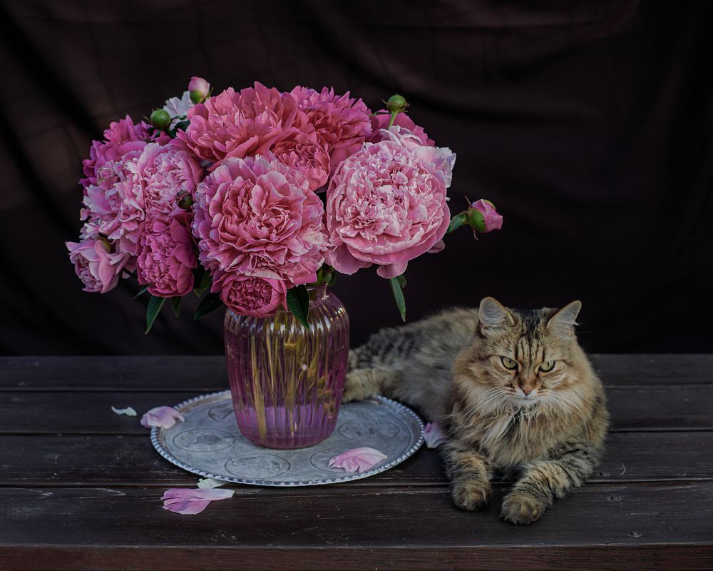 Photograph by Вера Голицына