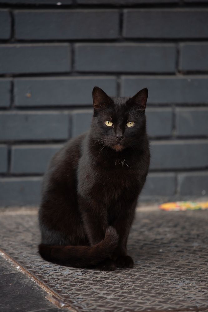 Photograph by Степан Кравченко