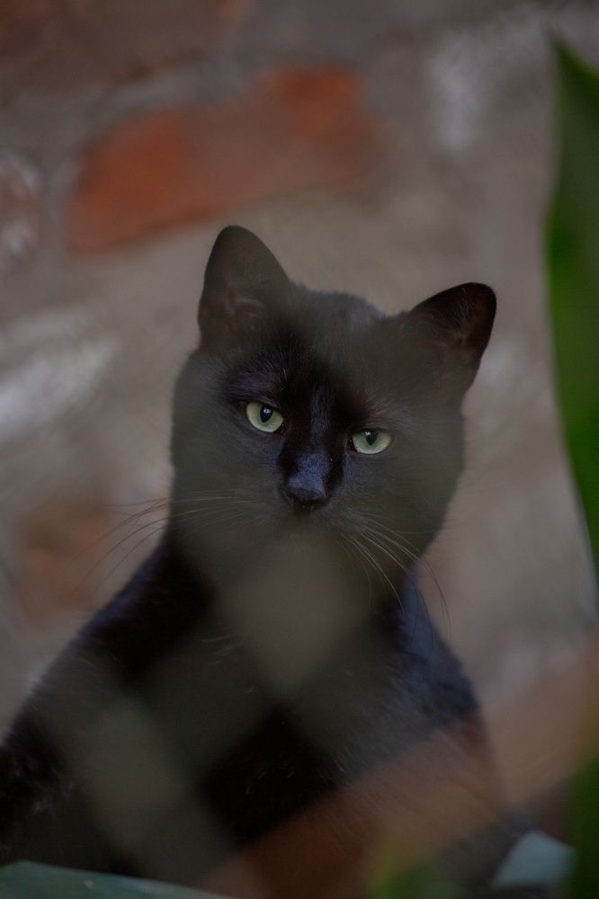 Photograph by Степан Кравченко