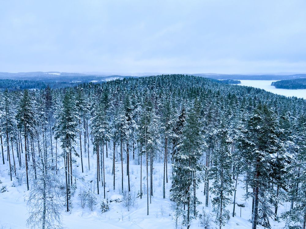 Photograph by Hanna Sauchuk