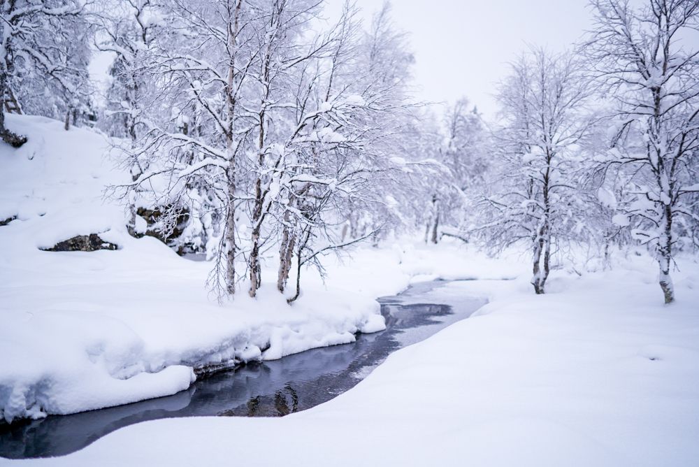 Photograph by Hanna Sauchuk