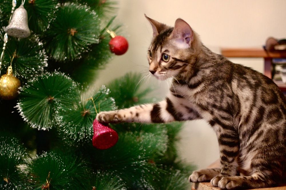 Photograph by Оксана