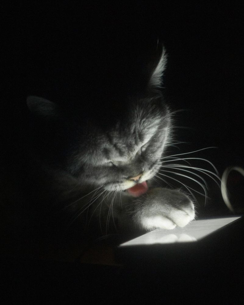 Photograph by Алексей Борисов