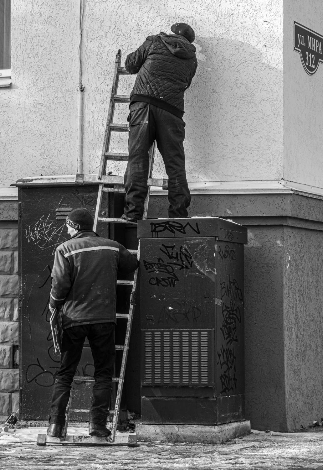 Photo #8663800