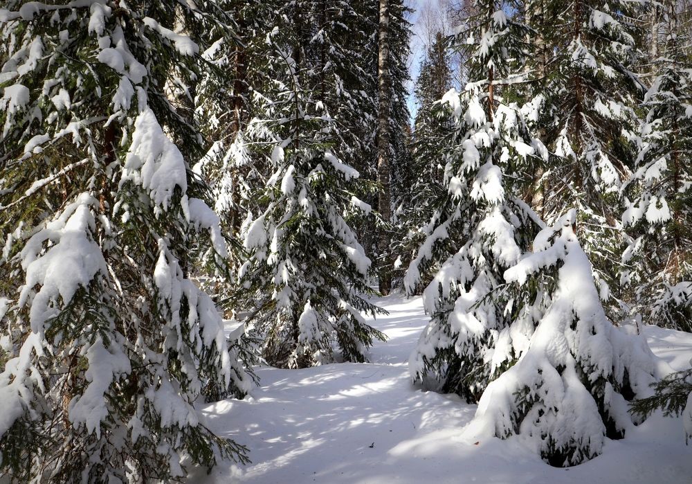 Photograph by Нина Чугунова