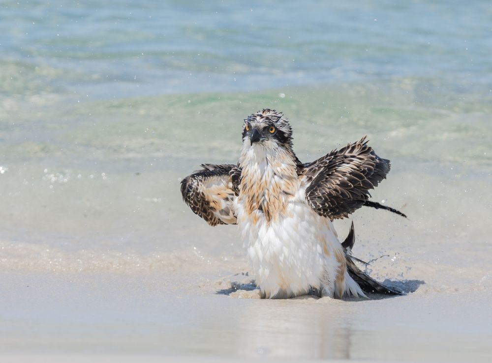 Photograph by Dennis Vagner