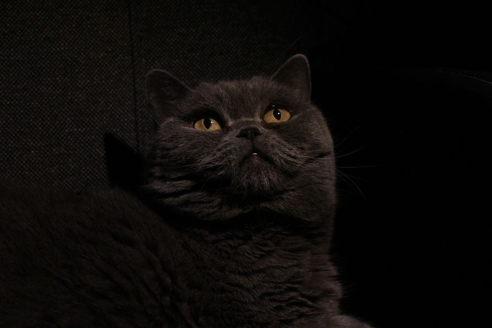 Photograph by Оксана