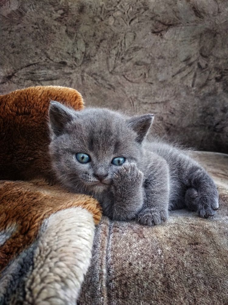 Photograph by Ellina Asaup