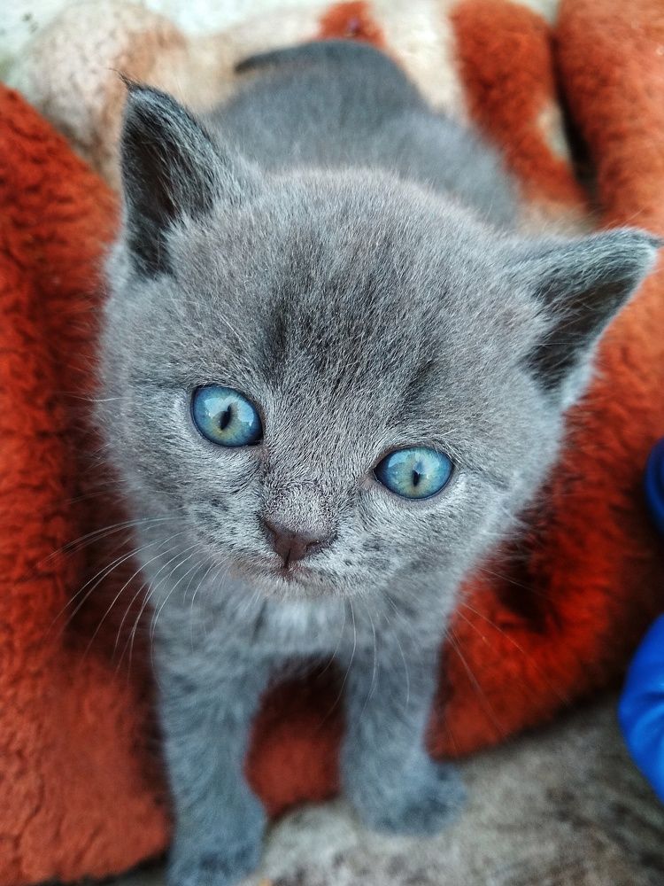 Photograph by Ellina Asaup