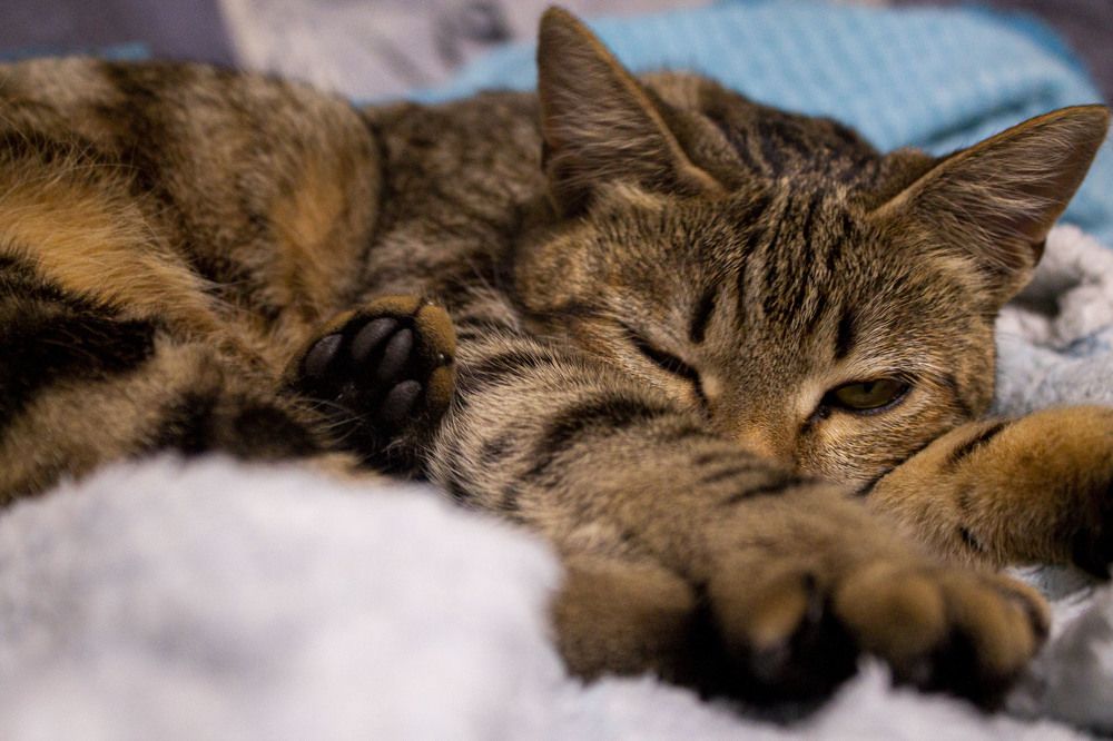 Photograph by Ирина Корнейчук