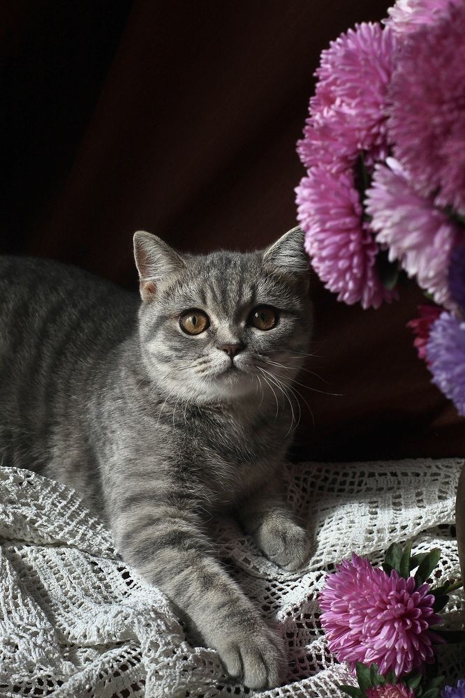 Photograph by Наталья Гусева