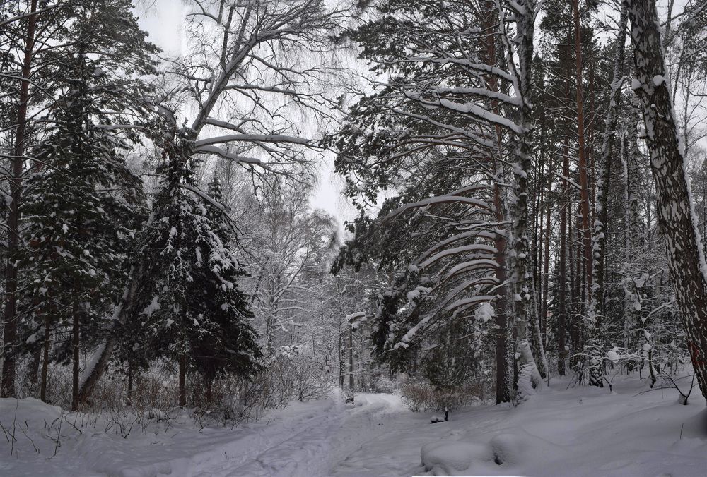 Photograph by Борис Большаков