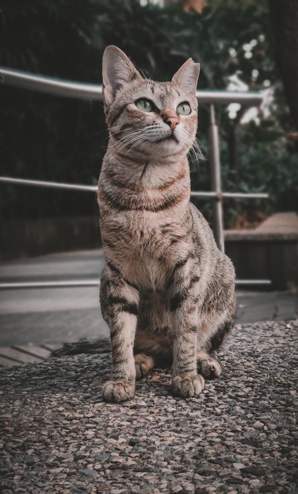 Photograph by Furqan Ahmed Golandaz